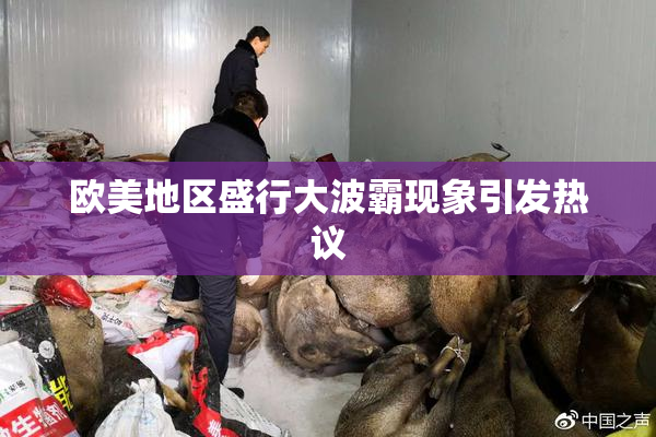 欧美地区盛行大波霸现象引发热议