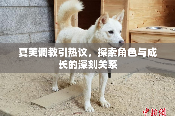 夏芙调教引热议，探索角色与成长的深刻关系