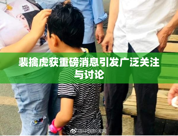 裴擒虎获重磅消息引发广泛关注与讨论