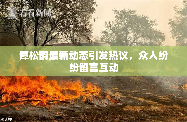 谭松韵最新动态引发热议，众人纷纷留言互动