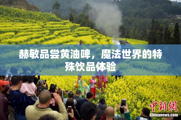 赫敏品尝黄油啤，魔法世界的特殊饮品体验