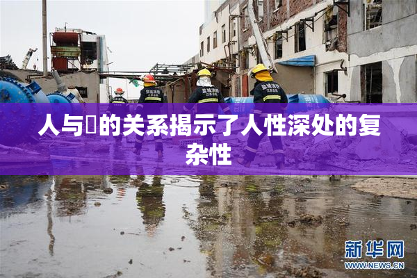 人与嘼的关系揭示了人性深处的复杂性