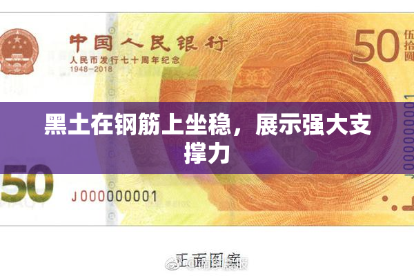 黑土在钢筋上坐稳，展示强大支撑力