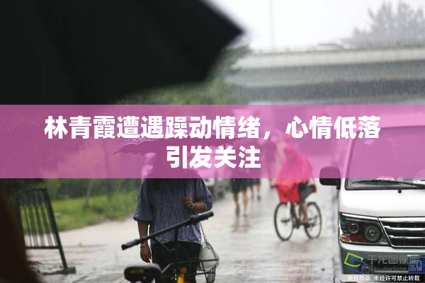 林青霞遭遇躁动情绪，心情低落引发关注