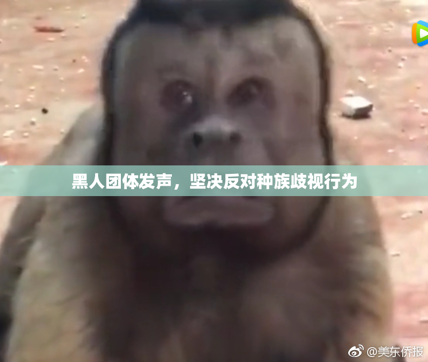 黑人团体发声，坚决反对种族歧视行为