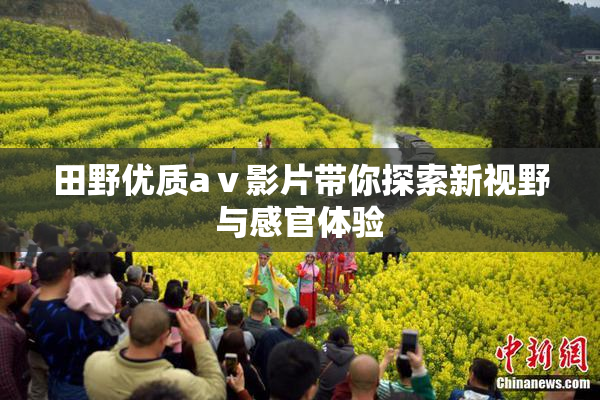 田野优质aⅴ影片带你探索新视野与感官体验