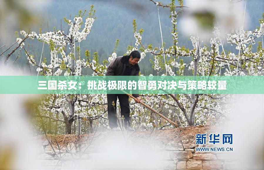 三国杀女：挑战极限的智勇对决与策略较量