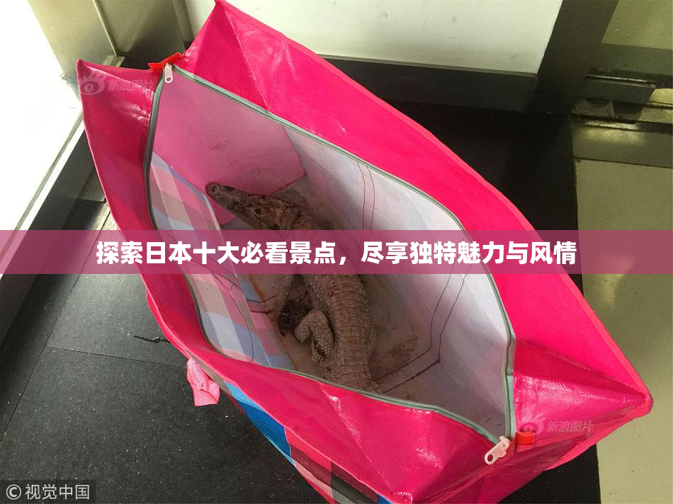 探索日本十大必看景点，尽享独特魅力与风情