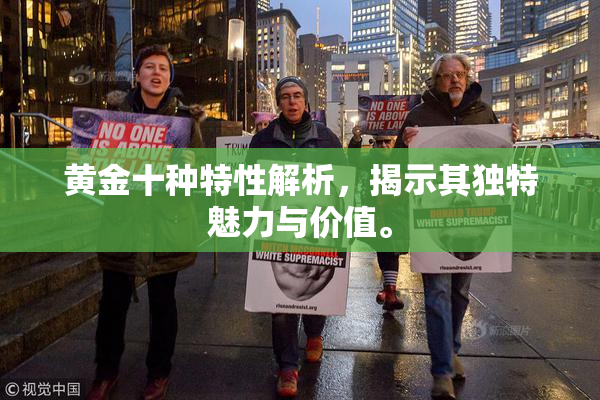 黄金十种特性解析，揭示其独特魅力与价值。
