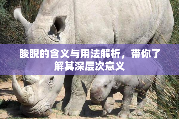 睃睨的含义与用法解析，带你了解其深层次意义