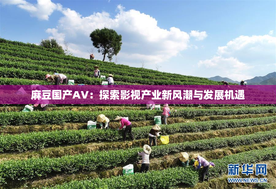 麻豆国产AV：探索影视产业新风潮与发展机遇