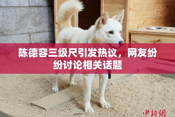 陈德容三级尺引发热议，网友纷纷讨论相关话题