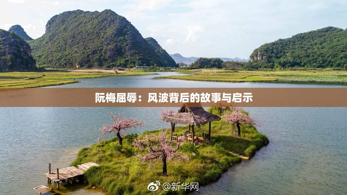 阮梅屈辱：风波背后的故事与启示