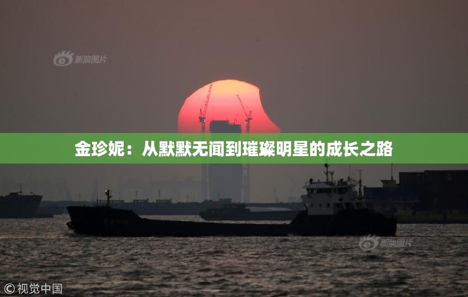 金珍妮：从默默无闻到璀璨明星的成长之路