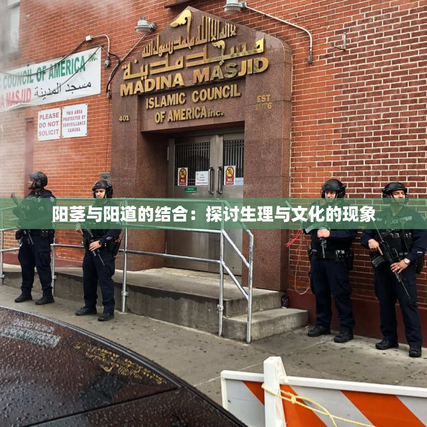 阳茎与阳道的结合：探讨生理与文化的现象