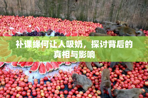 补课缘何让人吸奶，探讨背后的真相与影响