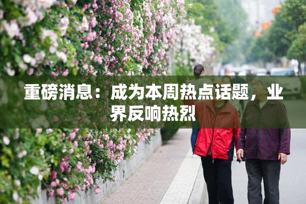 重磅消息：成为本周热点话题，业界反响热烈