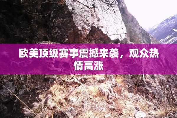 欧美顶级赛事震撼来袭，观众热情高涨