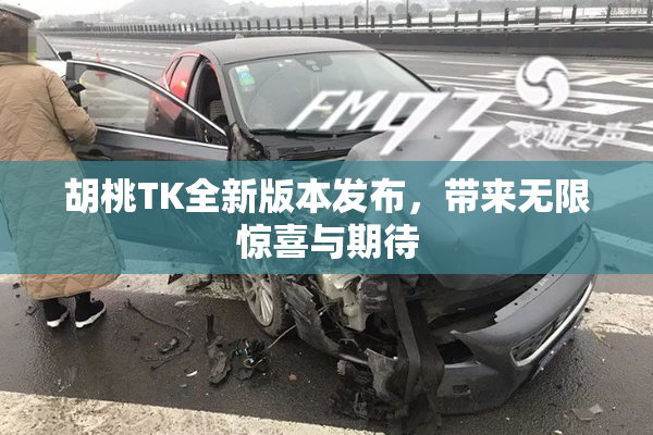 胡桃TK全新版本发布，带来无限惊喜与期待