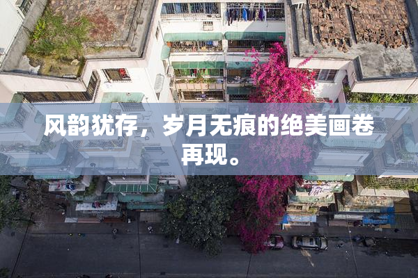 风韵犹存，岁月无痕的绝美画卷再现。