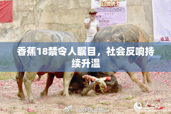 香蕉18禁令人瞩目，社会反响持续升温