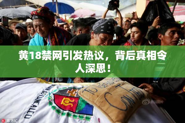 黄18禁网引发热议，背后真相令人深思！