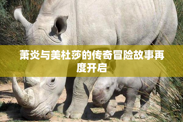 萧炎与美杜莎的传奇冒险故事再度开启