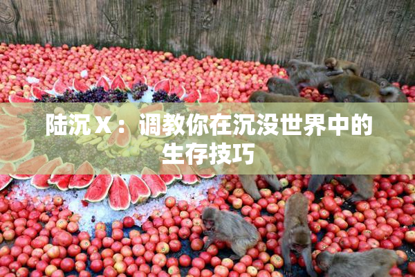 陆沉Ⅹ：调教你在沉没世界中的生存技巧