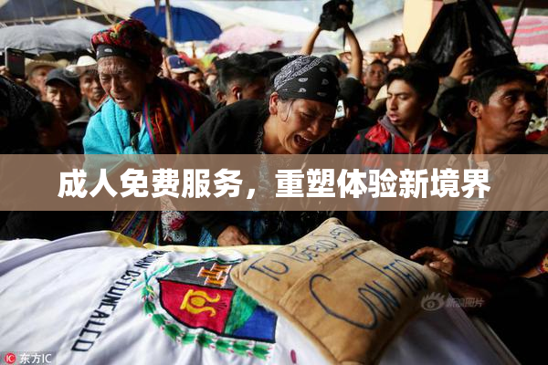 成人免费服务，重塑体验新境界