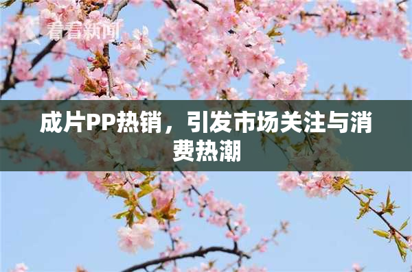 成片PP热销，引发市场关注与消费热潮