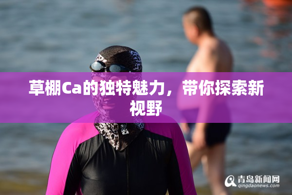草棚Ca的独特魅力，带你探索新视野