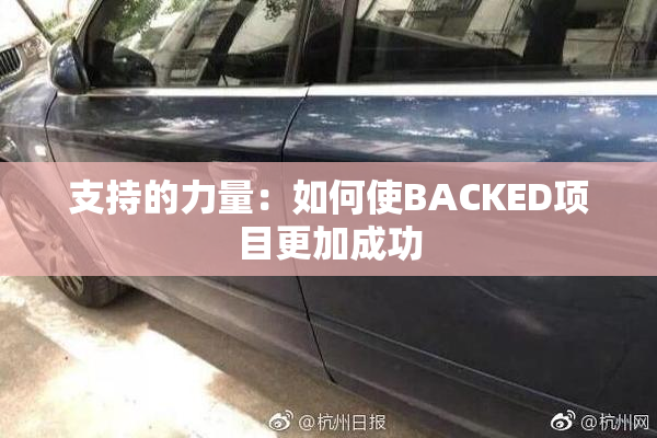 支持的力量：如何使BACKED项目更加成功