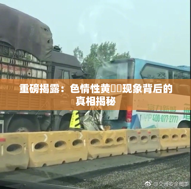 重磅揭露：色情性黄❌‌现象背后的真相揭秘