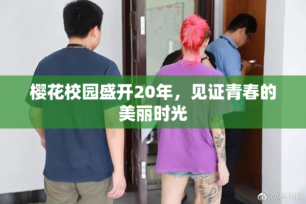 樱花校园盛开20年，见证青春的美丽时光