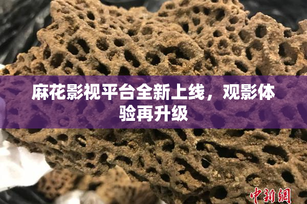 麻花影视平台全新上线，观影体验再升级