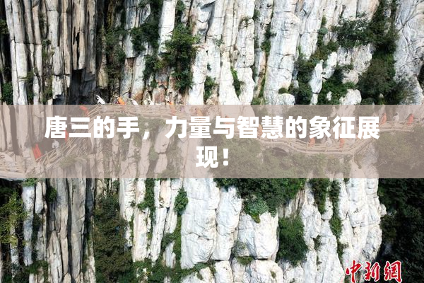 唐三的手，力量与智慧的象征展现！