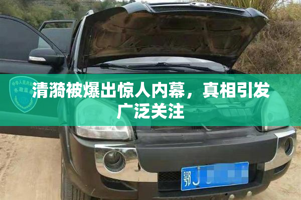 清漪被爆出惊人内幕，真相引发广泛关注