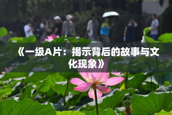 《一级A片：揭示背后的故事与文化现象》
