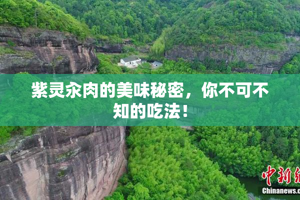 紫灵汆肉的美味秘密，你不可不知的吃法！