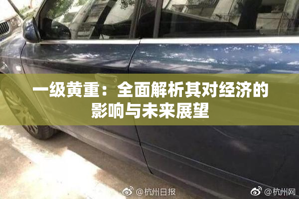 一级黄重：全面解析其对经济的影响与未来展望