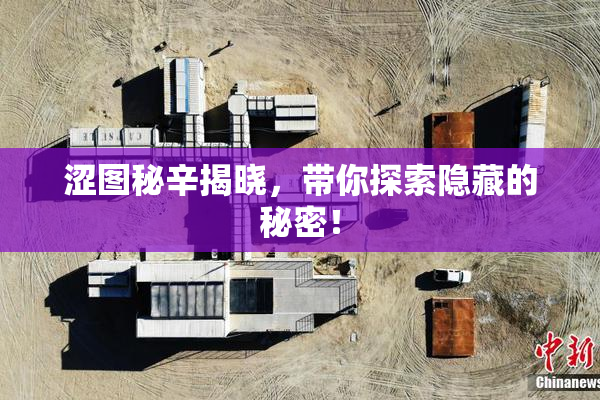 涩图秘辛揭晓，带你探索隐藏的秘密！