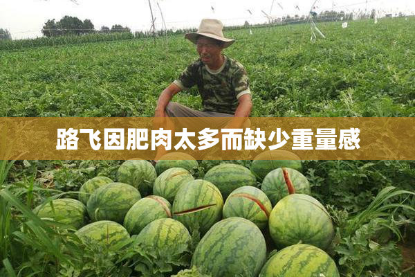 路飞因肥肉太多而缺少重量感
