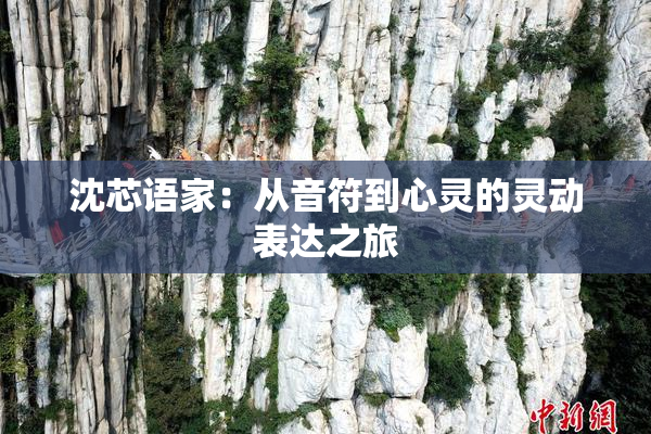 沈芯语家：从音符到心灵的灵动表达之旅