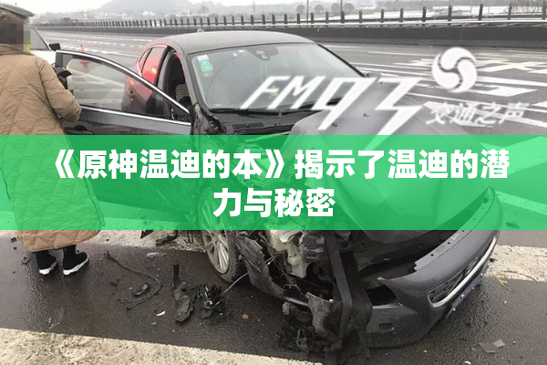 《原神温迪的本》揭示了温迪的潜力与秘密