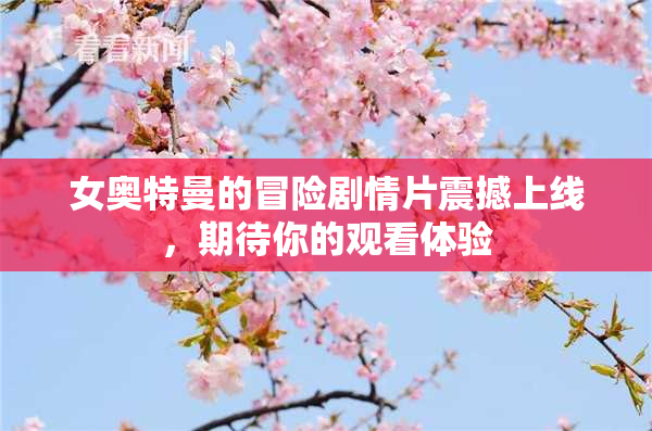 女奥特曼的冒险剧情片震撼上线，期待你的观看体验