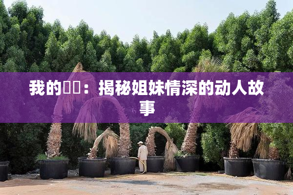 我的妺妺：揭秘姐妹情深的动人故事
