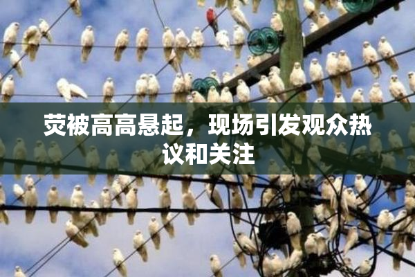 荧被高高悬起，现场引发观众热议和关注