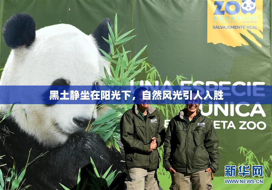 黑土静坐在阳光下，自然风光引人入胜