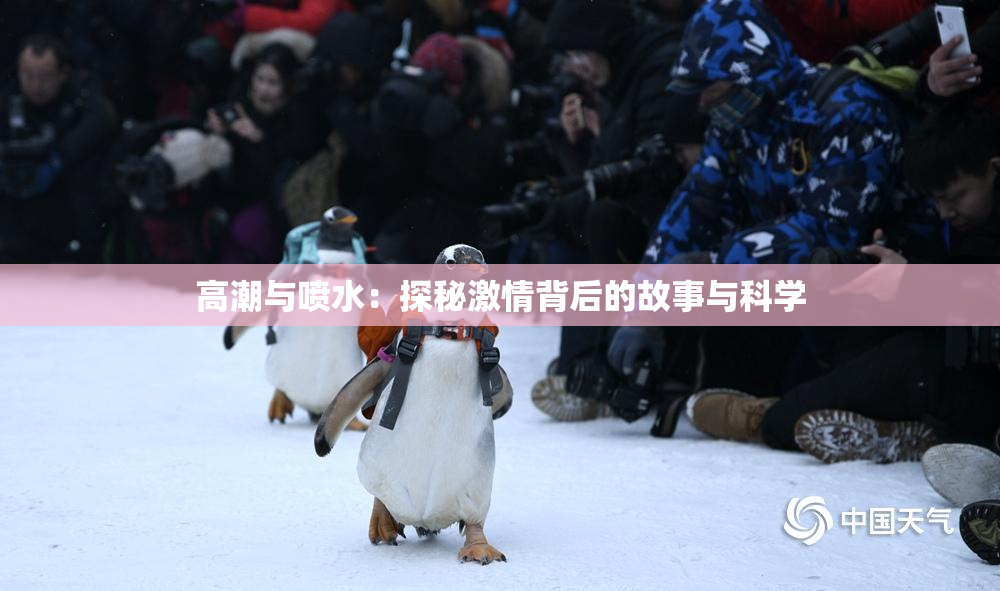 高潮与喷水：探秘激情背后的故事与科学