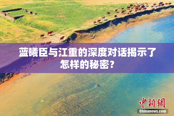 蓝曦臣与江重的深度对话揭示了怎样的秘密？